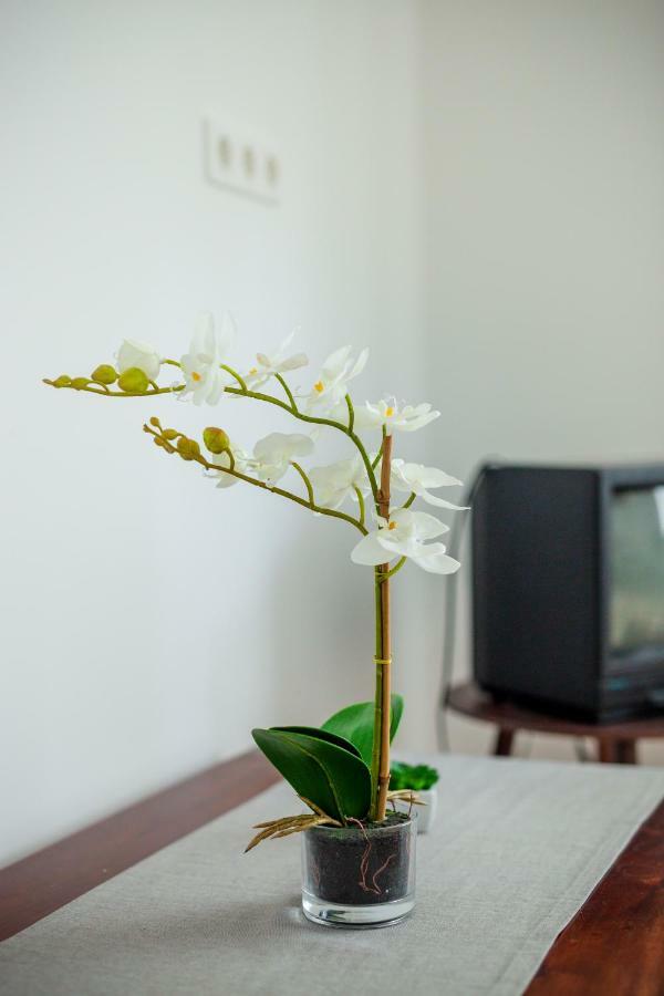 Viragos Vendeghaz Appartement Keszthely Buitenkant foto